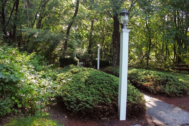 mapPlaceHolder